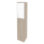 дуб аттик/стекло white