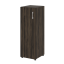 Дуб Мали