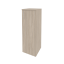 Дуб Аттик