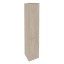 Дуб Аттик